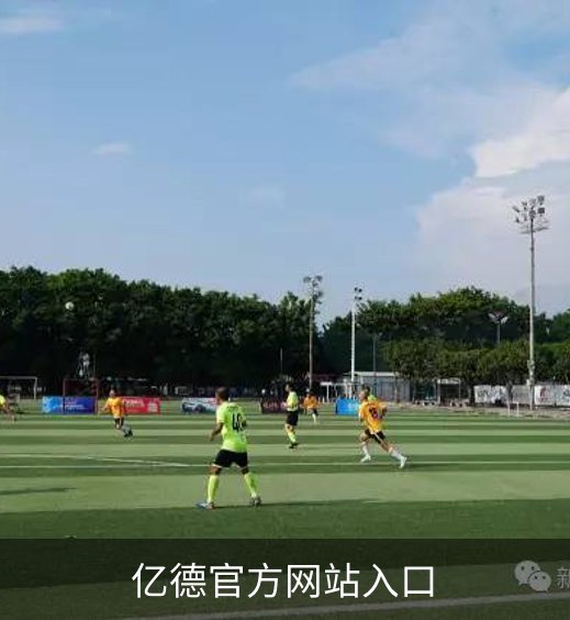 亿德官方网站入口简介